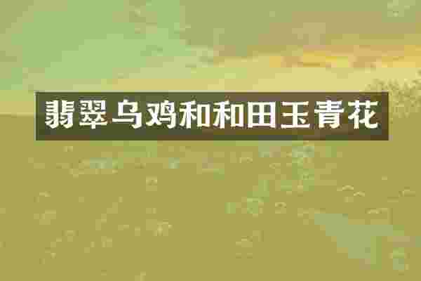 翡翠乌鸡和和田玉青花