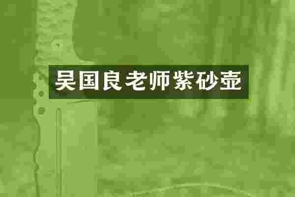 吴国良老师紫砂壶