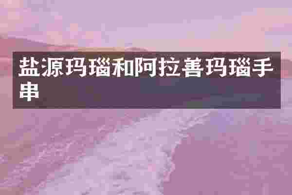 盐源玛瑙和阿拉善玛瑙手串