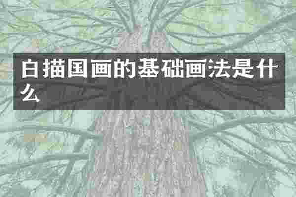 白描国画的基础画法是什么