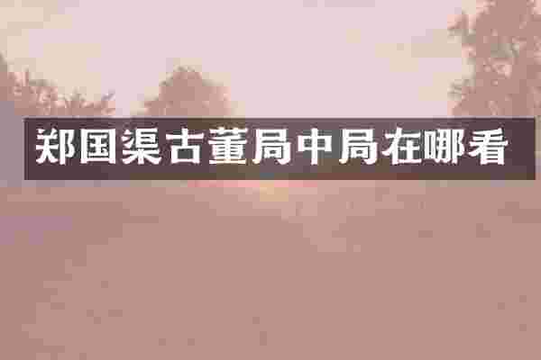郑国渠古董局中局在哪看