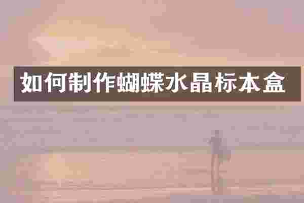 如何制作蝴蝶水晶标本盒