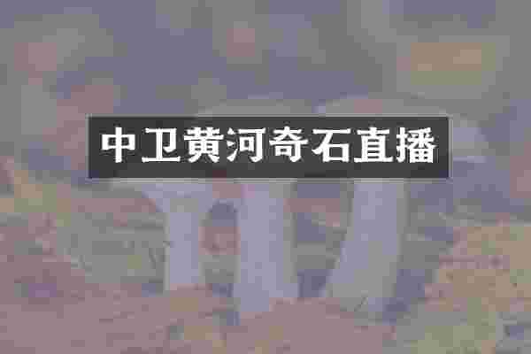 中卫黄河奇石直播
