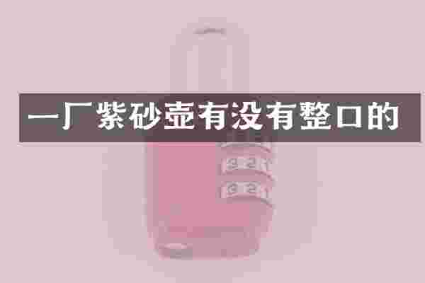 一厂紫砂壶有没有整口的