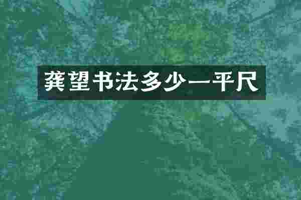 龚望书法多少一平尺