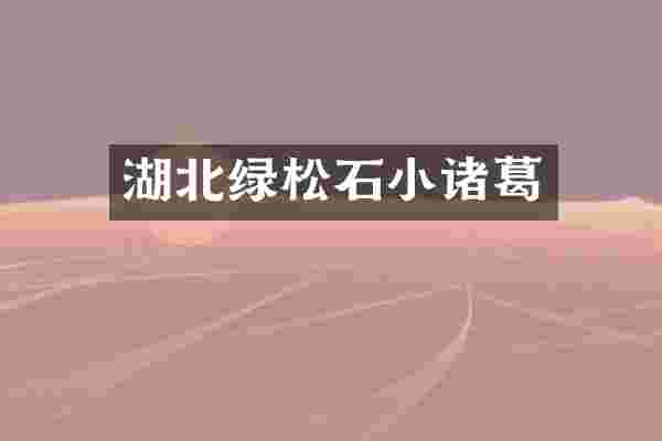 湖北绿松石小诸葛