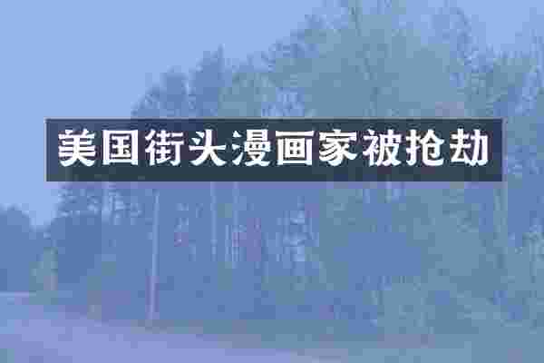 美国街头漫画家被抢劫