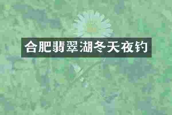 合肥翡翠湖冬天夜钓