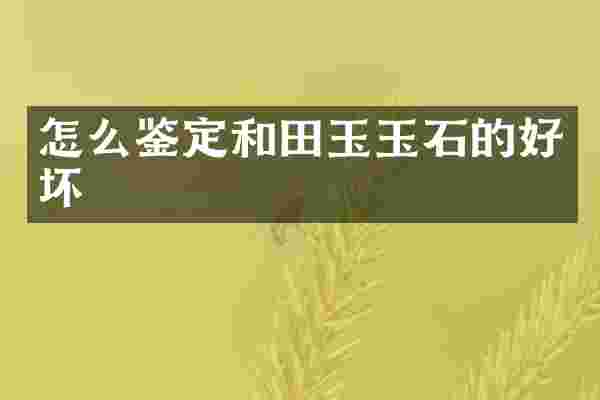 怎么鉴定和田玉玉石的好坏