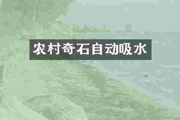 农村奇石自动吸水