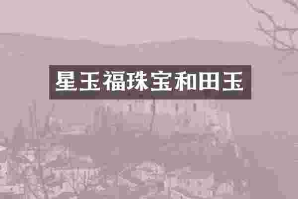 星玉福珠宝和田玉