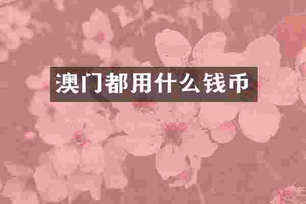澳门都用什么钱币