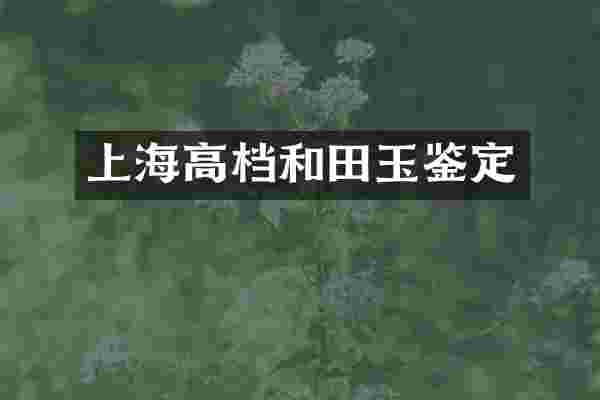 上海高档和田玉鉴定