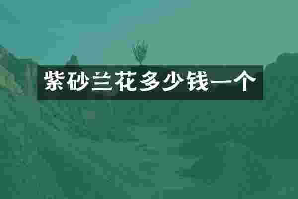 紫砂兰花多少钱一个