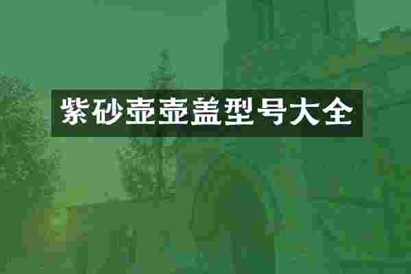 紫砂壶壶盖型号大全