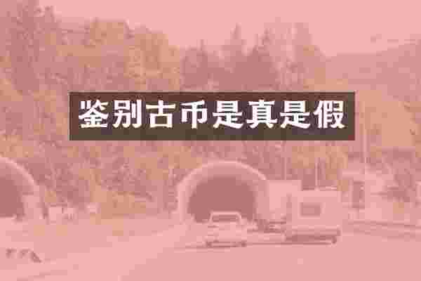 鉴别古币是真是假