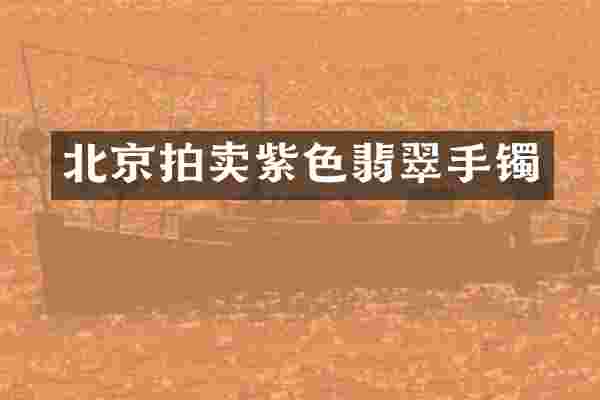 北京拍卖紫色翡翠手镯
