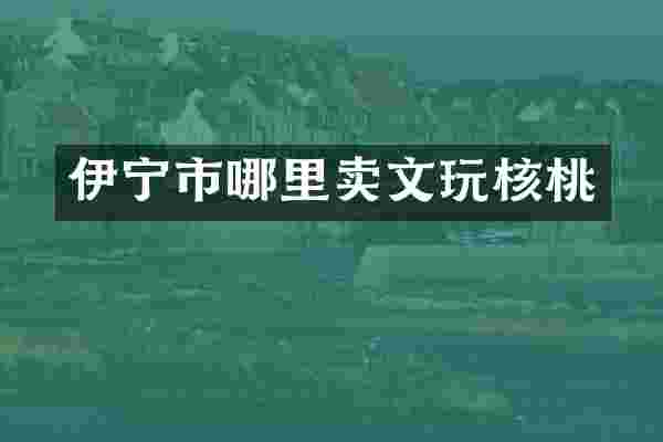 伊宁市哪里卖文玩核桃
