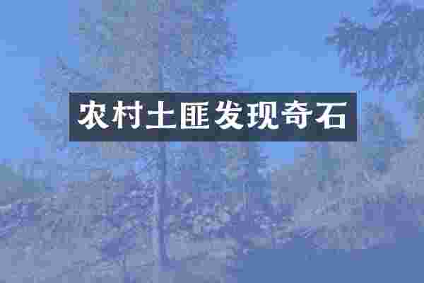农村土匪发现奇石