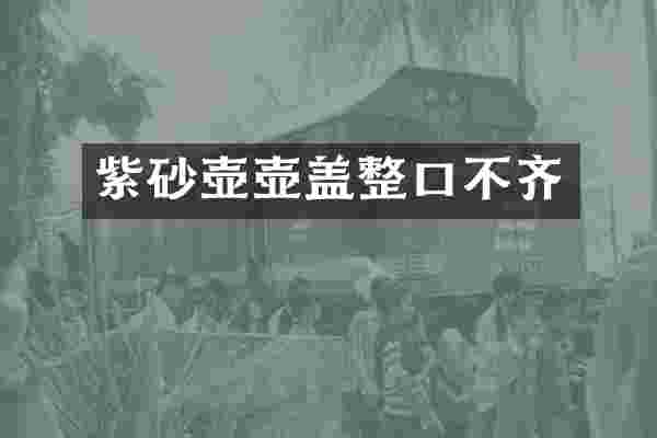 紫砂壶壶盖整口不齐