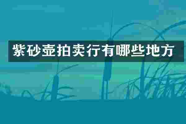 紫砂壶拍卖行有哪些地方