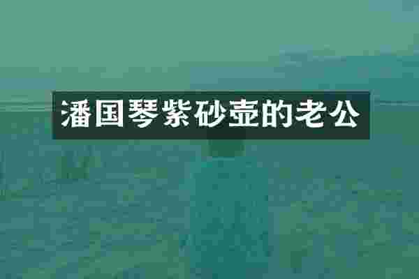 潘国琴紫砂壶的老公