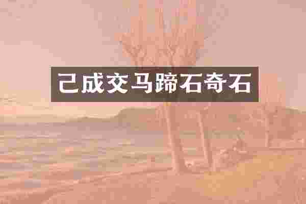 己成交马蹄石奇石