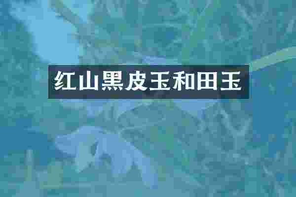 红山黑皮玉和田玉