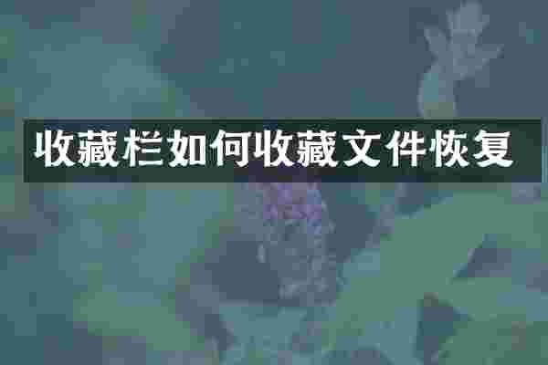 收藏栏如何收藏文件恢复