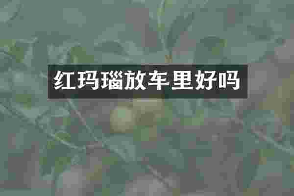 红玛瑙放车里好吗
