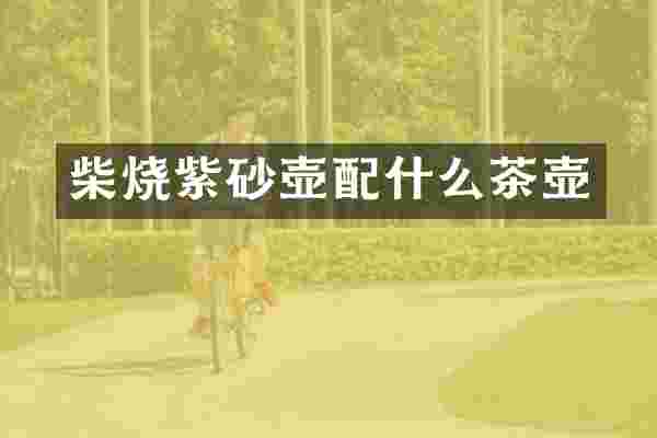 柴烧紫砂壶配什么茶壶