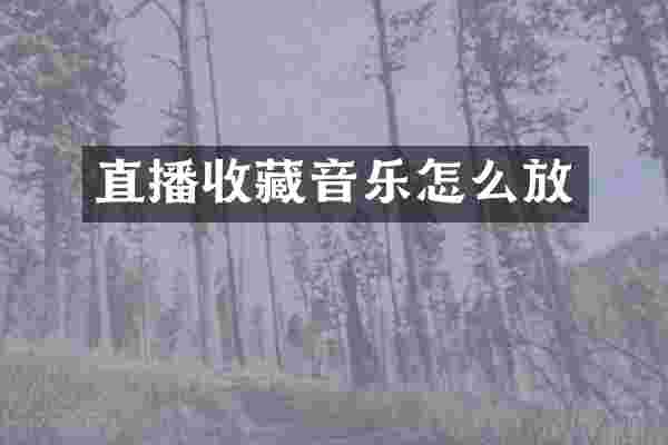 直播收藏音乐怎么放