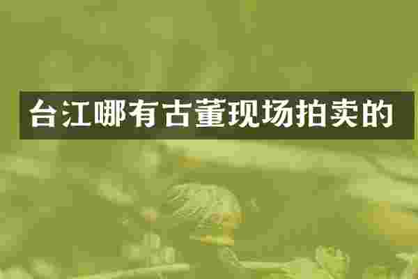 台江哪有古董现场拍卖的