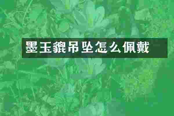 墨玉貔恘吊坠怎么佩戴