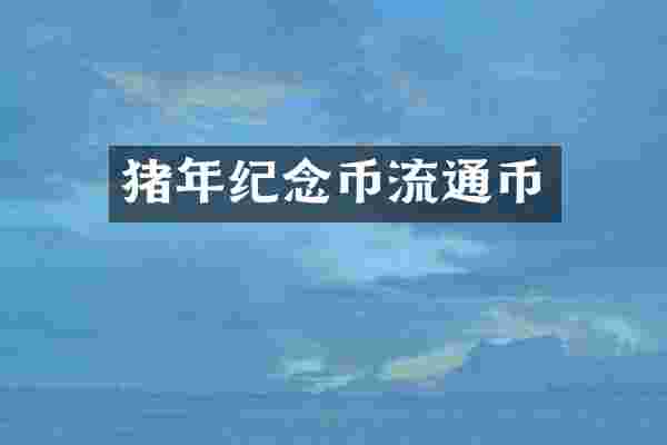 猪年纪念币流通币