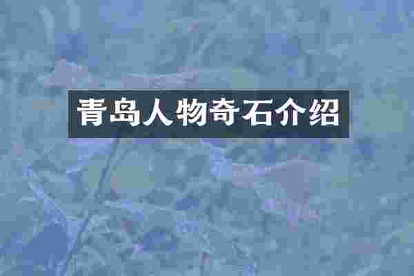 青岛人物奇石介绍