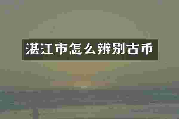 湛江市怎么辨别古币
