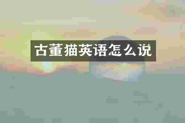 古董猫英语怎么说