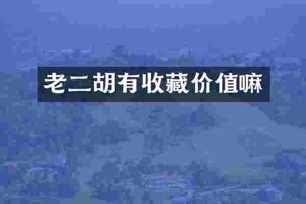 老二胡有收藏价值嘛