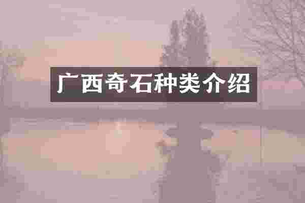 广西奇石种类介绍