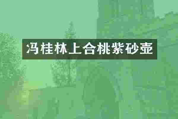 冯桂林上合桃紫砂壶