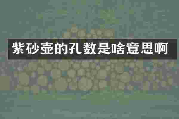 紫砂壶的孔数是啥意思啊