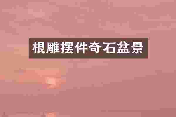 根雕摆件奇石盆景