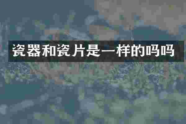 瓷器和瓷片是一样的吗吗