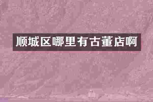 顺城区哪里有古董店啊