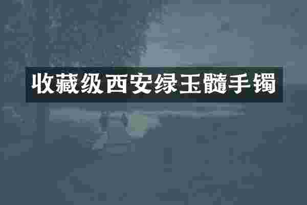 收藏级西安绿玉髓手镯