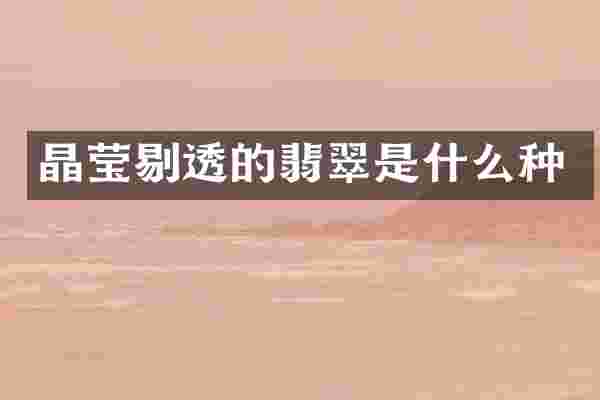 晶莹剔透的翡翠是什么种