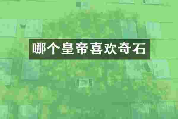 哪个皇帝喜欢奇石