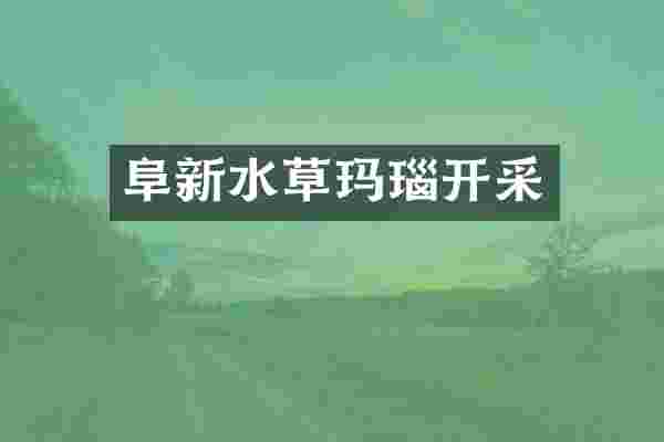 阜新水草玛瑙开采