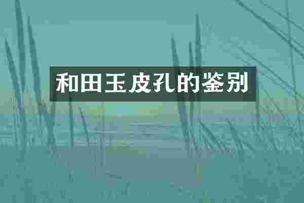 和田玉皮孔的鉴别